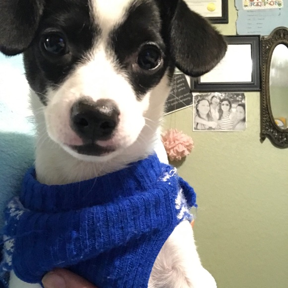 Yvonne Why I sell on Posh. My baby Fundraiser ๐ถ๐ผ - Picture 7 of 9